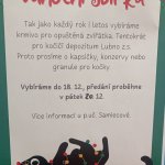 phoca_thumb_m_sbrka pro koiky 1 Fotogalerie